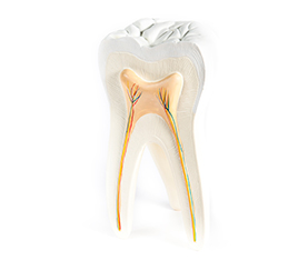 ROOT CANALS